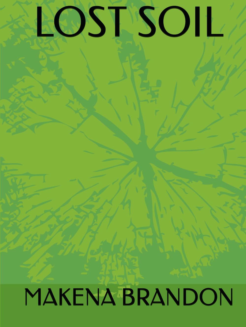 Lost Soil book cover